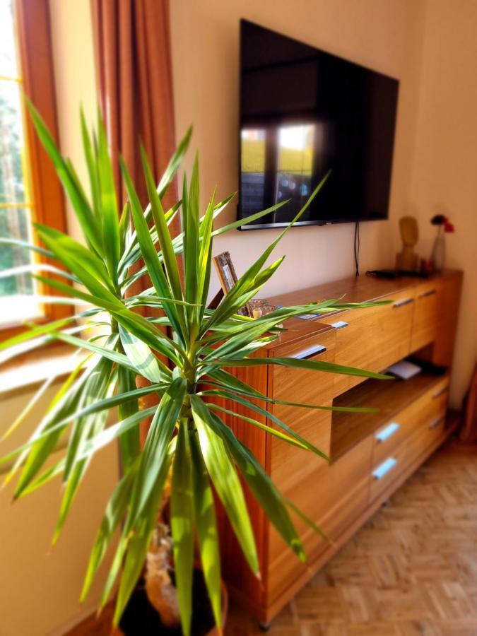 Fridas Place - Der Blick Ueber Ganz Villach - 160 M2 Ferienoase - Ganzes Haus Bis Zu 8 Personen エクステリア 写真